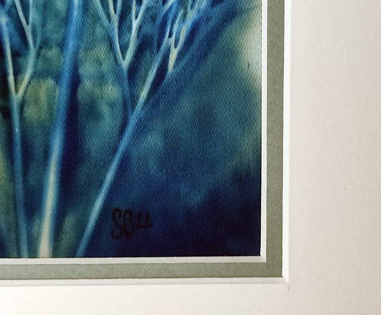 Original Abstract Botanic Photography by S C