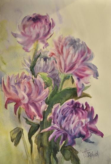 Purple chrysanthemums by Halyna Otchych thumb