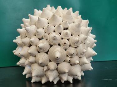 white sea urchin thumb