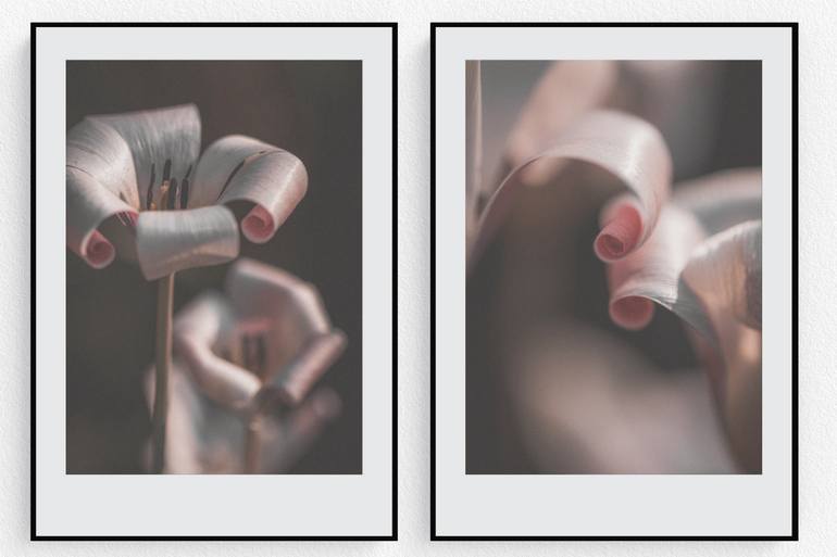 Original Modernism Botanic Photography by Quirky Junket