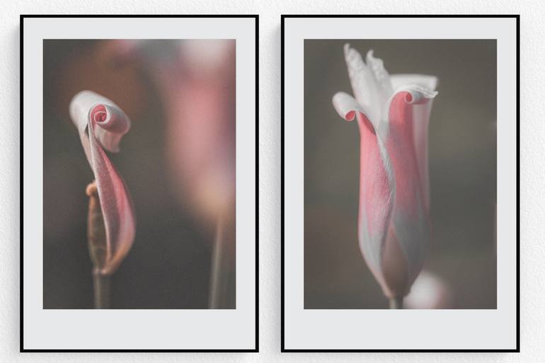 Original Modernism Botanic Photography by Quirky Junket