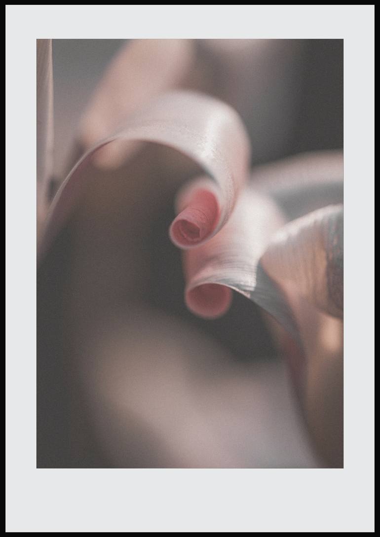 Original Contemporary Botanic Photography by Quirky Junket