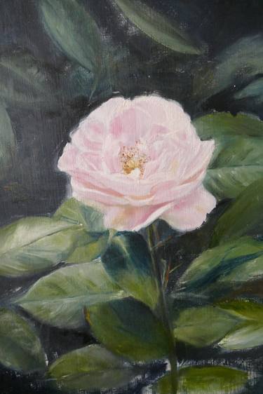 Saatchi Art Artist Elizabeth James-williams; Paintings, “Pink Garden Rose” #art