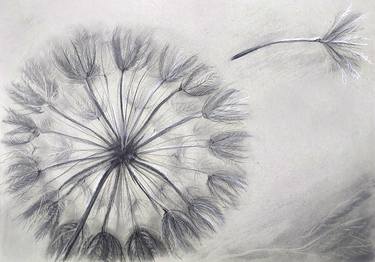 Original Fine Art Botanic Drawings by Yelena Rybalkina