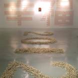 Exhibition review 