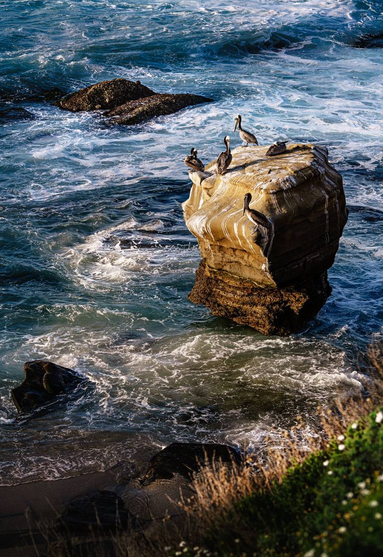 Rocky Seaside Scenery - Print