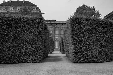 Print of Art Deco Garden Photography by Rafael Benetti