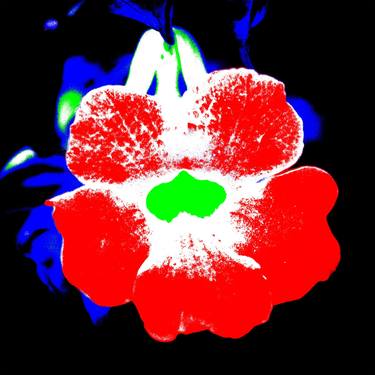 Print of Abstract Expressionism Floral Digital by Rafael Benetti