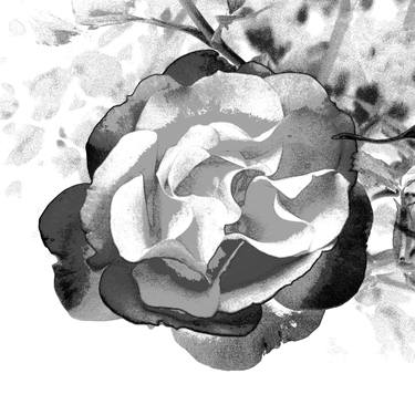 Original Abstract Floral Photography by Rafael Benetti