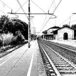 Collection Train
