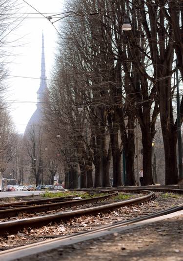 Print of Train Photography by Rafael Benetti