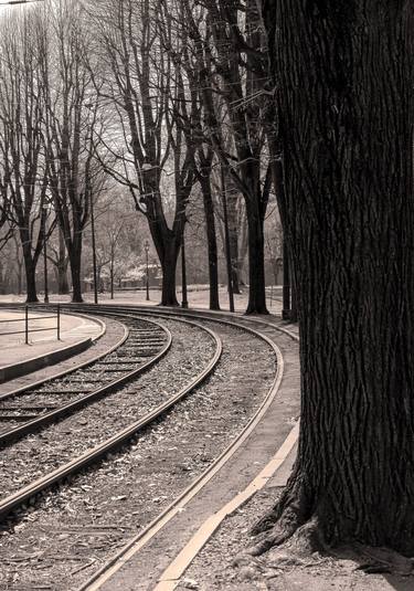 Original Train Photography by Rafael Benetti