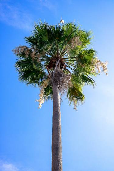 Original Beach Photography by Rafael Benetti