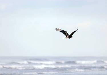 Original Art Deco Beach Photography by Rafael Benetti