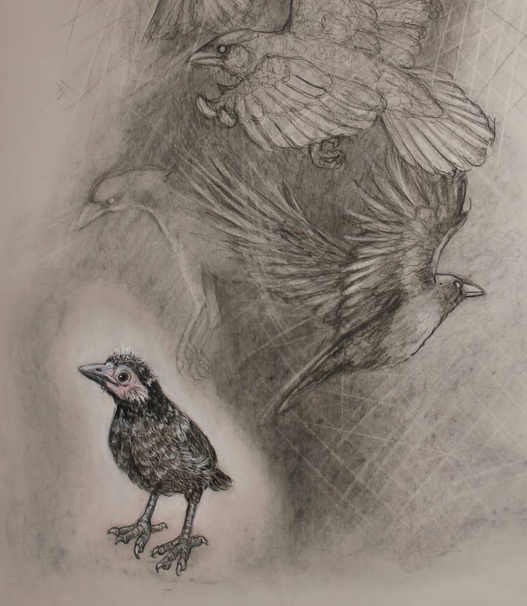 Original Contemporary Animal Drawing by Donalee Peden Wesley