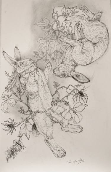 Original Figurative Animal Drawings by Donalee Peden Wesley