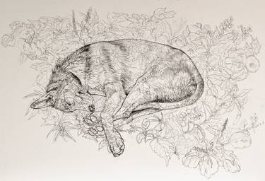 Original Figurative Dogs Drawings by Donalee Peden Wesley