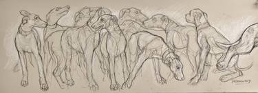 Original Black & White Dogs Drawings by Donalee Peden Wesley