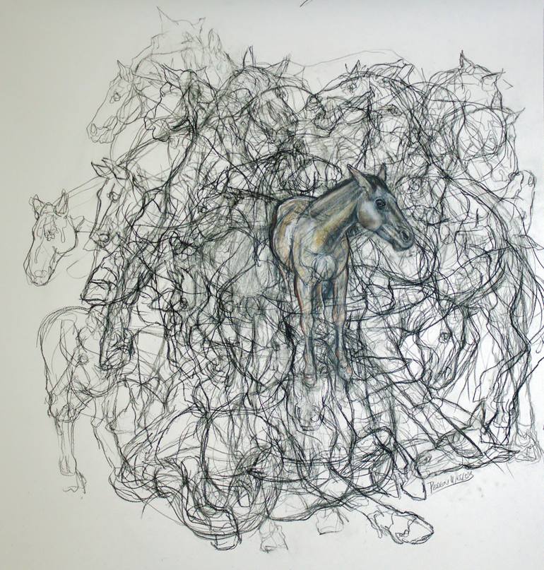 Original Black & White Horse Drawing by Donalee Peden Wesley