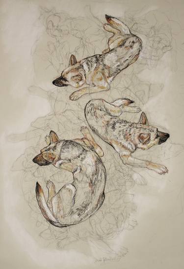 Original Contemporary Dogs Drawings by Donalee Peden Wesley