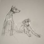 Dog Sketch by Donalee Peden Wesley