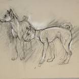 Dogs sketch by Donalee Peden Wesley