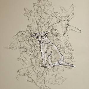 Dogs, In Time Space!