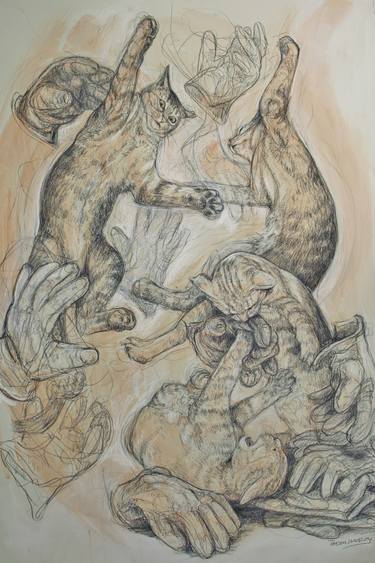 Original Realism Animal Drawings by Donalee Peden Wesley