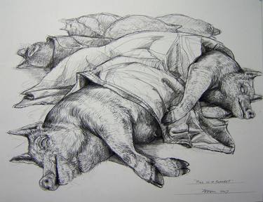 Original Realism Animal Drawings by Donalee Peden Wesley