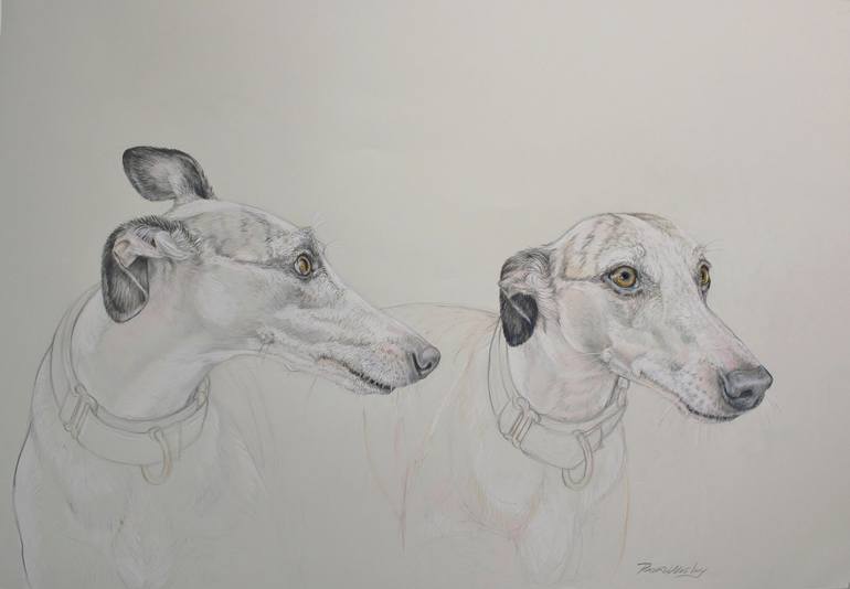 Original Dogs Drawing by Donalee Peden Wesley