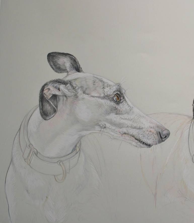 Original Figurative Dogs Drawing by Donalee Peden Wesley