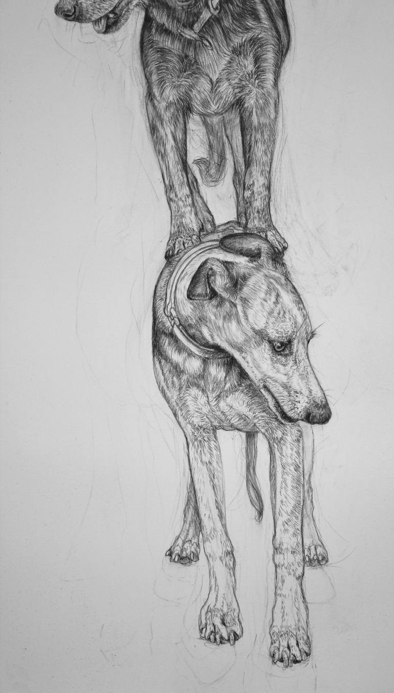 Original Figurative Dogs Drawing by Donalee Peden Wesley