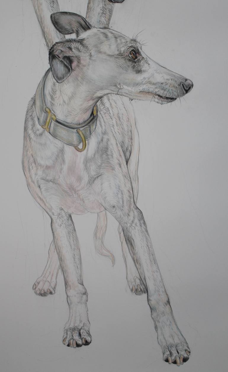 Original Dogs Drawing by Donalee Peden Wesley