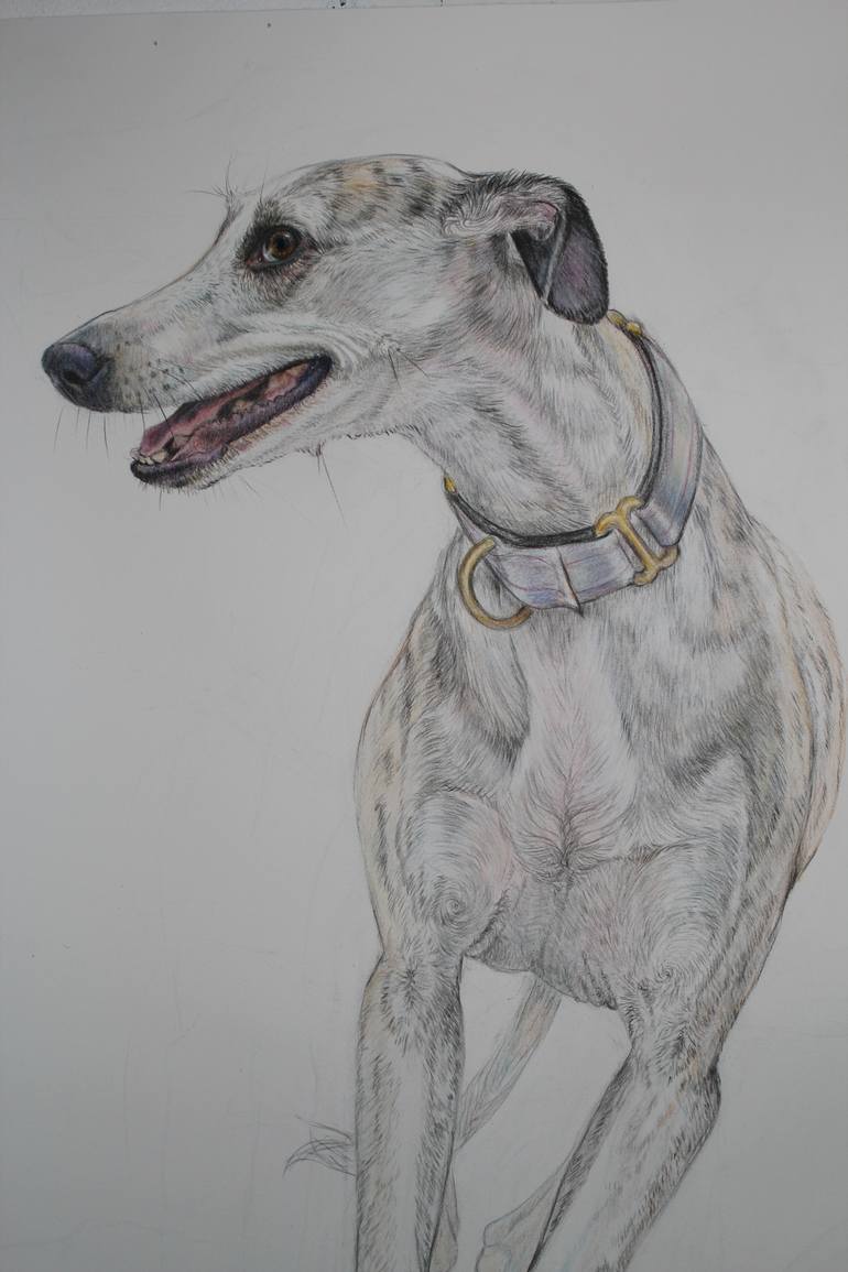 Original Figurative Dogs Drawing by Donalee Peden Wesley