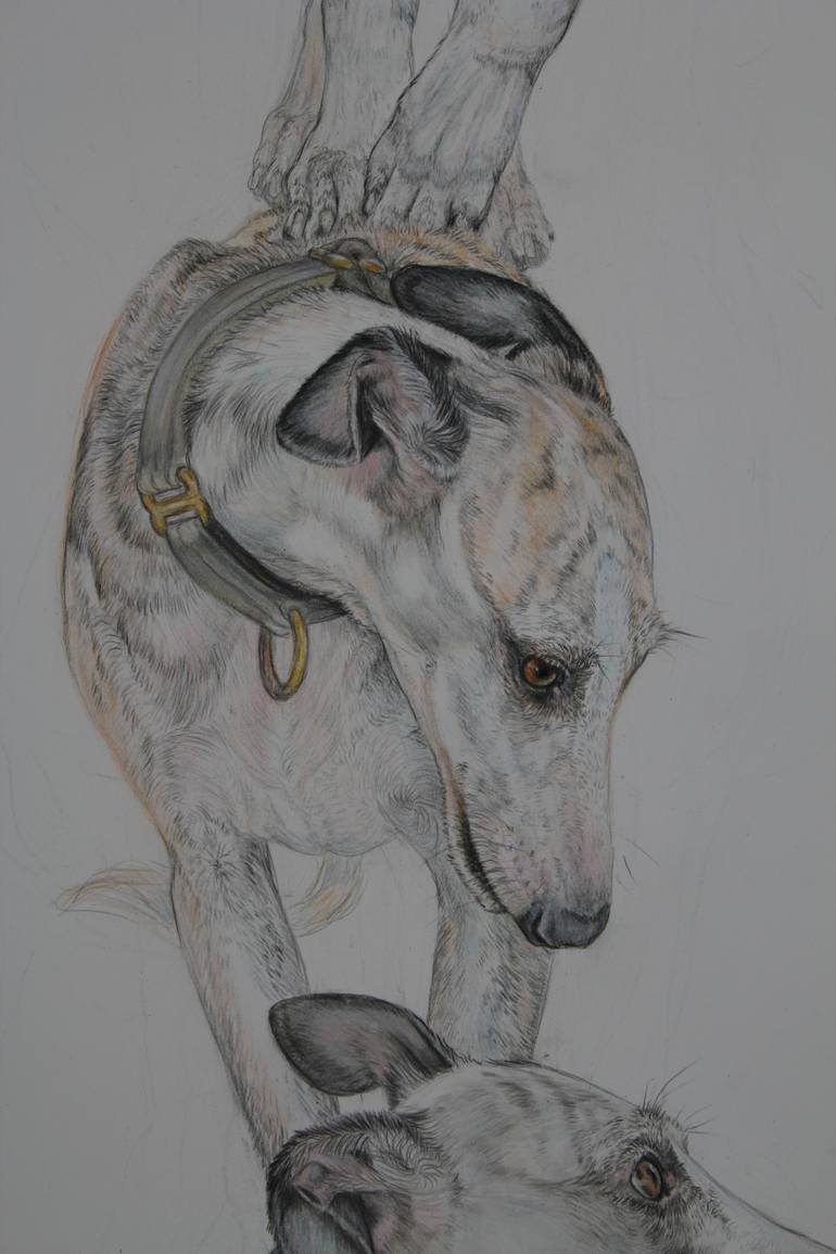 Original Dogs Drawing by Donalee Peden Wesley