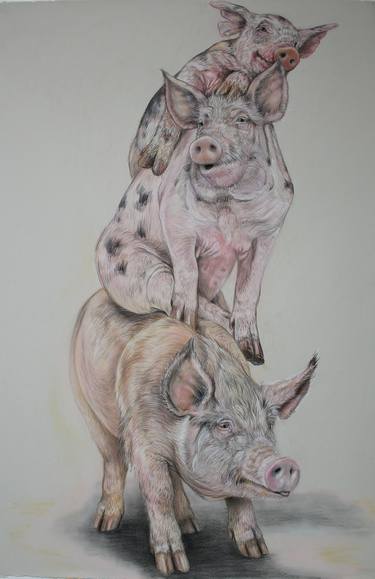 Original Animal Drawings by Donalee Peden Wesley