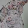 This is another in my series pertaining to animal abuse . This deals with gestation crates which do not allow the pig to turn around . 
This drawing is on heavyweight tinted gray Rives BFK paper , Cretacolor crayons, pastels , all materials are archival.