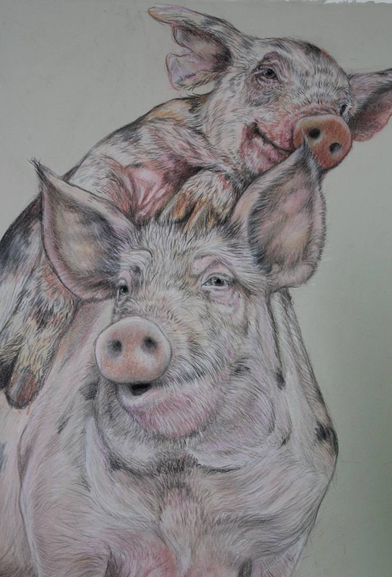 Original Figurative Animal Drawing by Donalee Peden Wesley