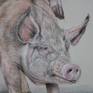 This is another in my series pertaining to animal abuse . This deals with gestation crates which do not allow the pig to turn around . 
This drawing is on heavyweight tinted gray Rives BFK paper , Cretacolor crayons, pastels , all materials are archival.