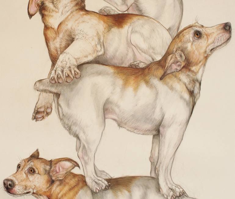 Original Figurative Animal Drawing by Donalee Peden Wesley