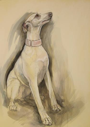 Whippet Sketch thumb