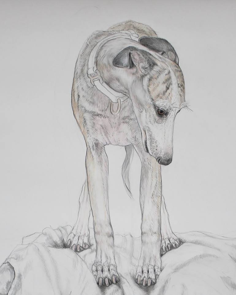 Original Figurative Animal Drawing by Donalee Peden Wesley