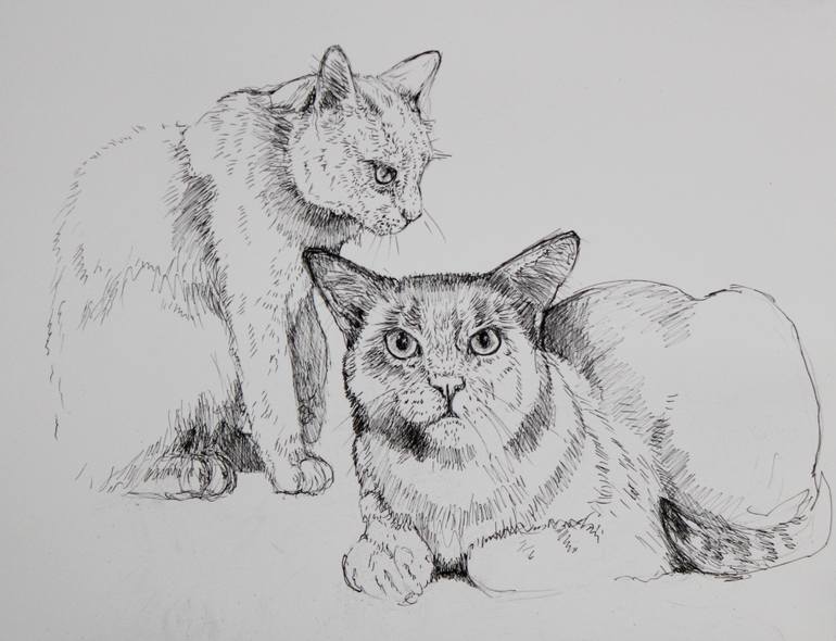 two cats drawing