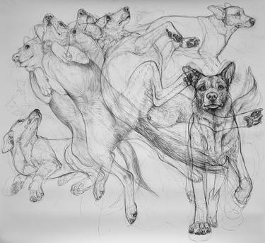 Original Expressionism Dogs Drawings by Donalee Peden Wesley