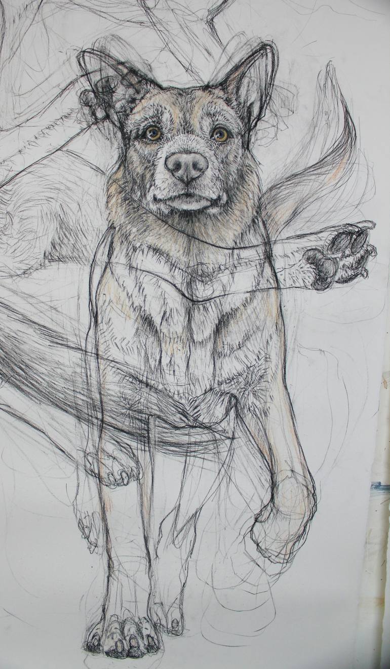 Original Expressionism Dogs Drawing by Donalee Peden Wesley