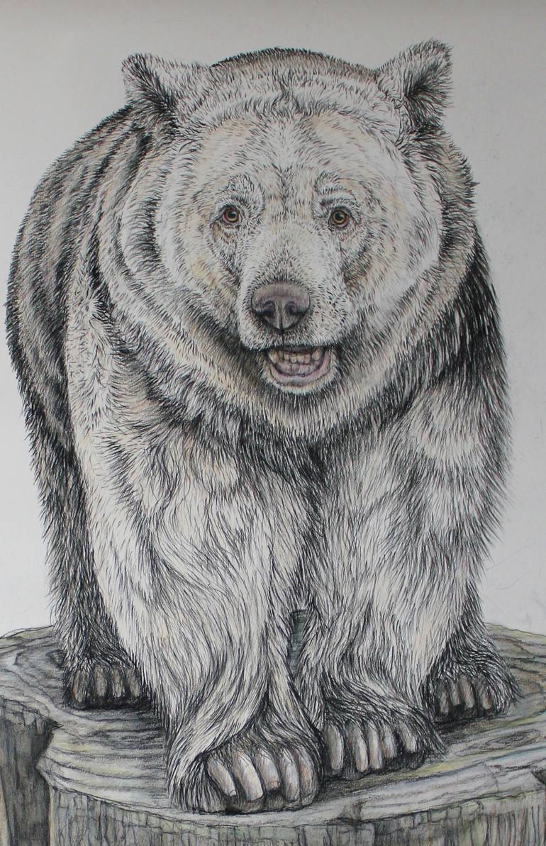Original Figurative Animal Drawing by Donalee Peden Wesley