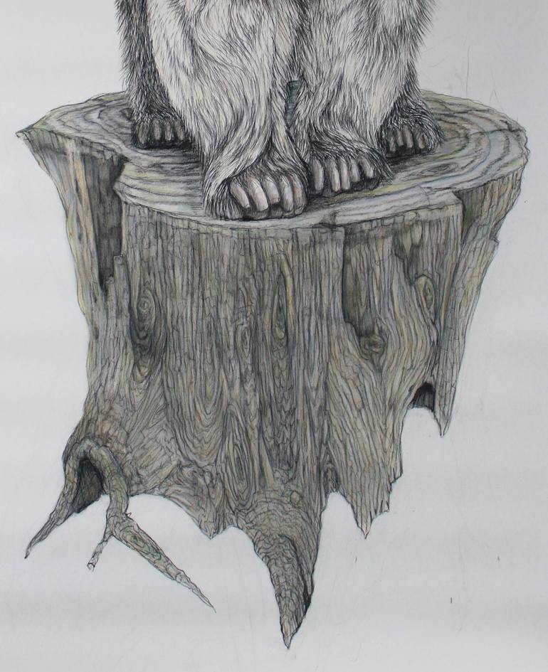 Original Figurative Animal Drawing by Donalee Peden Wesley