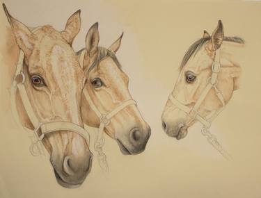 Sketch Of Horses thumb