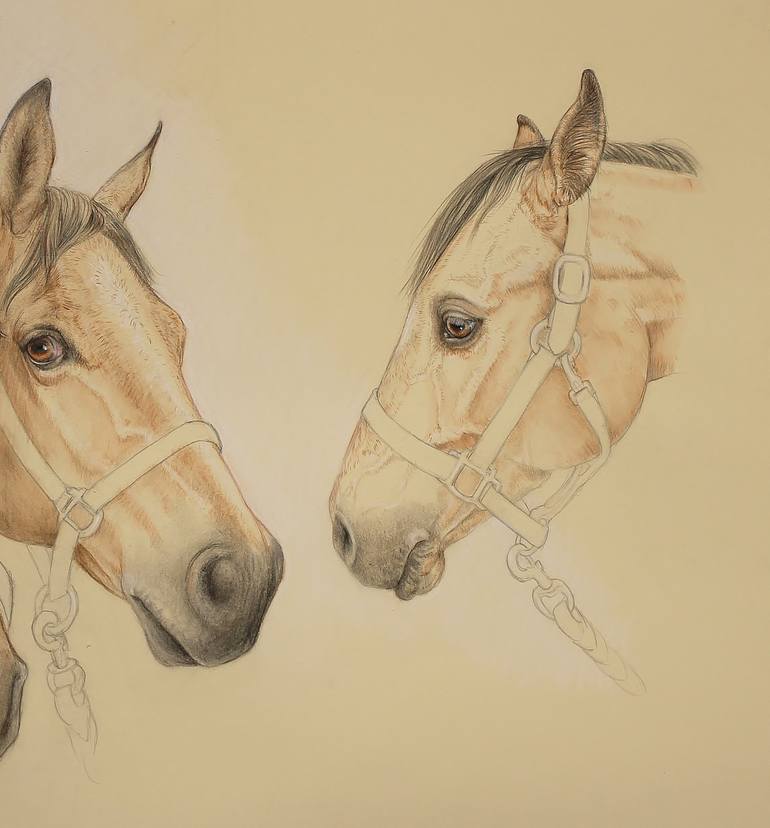 Original Figurative Horse Drawing by Donalee Peden Wesley
