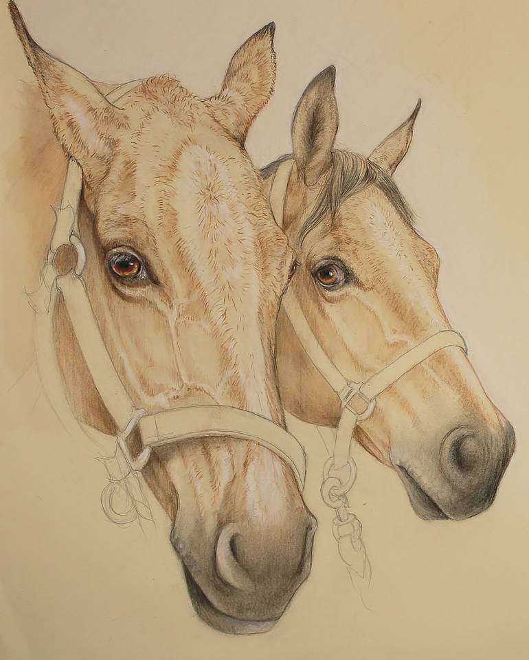 Original Figurative Horse Drawing by Donalee Peden Wesley